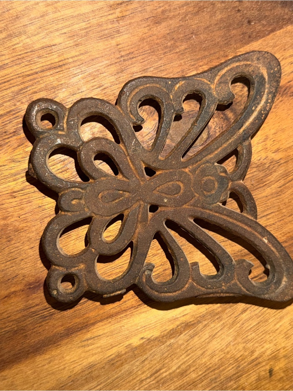 Rustic Butterfly Cast Iron Trivet - Brown